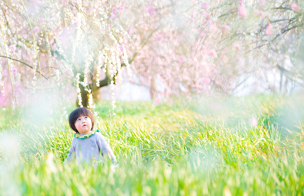 子供のかわいい撮り方 その１ フィルムカメラ日和 雨樹一期ブログ